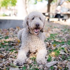 Meet your Posher, Nathan
